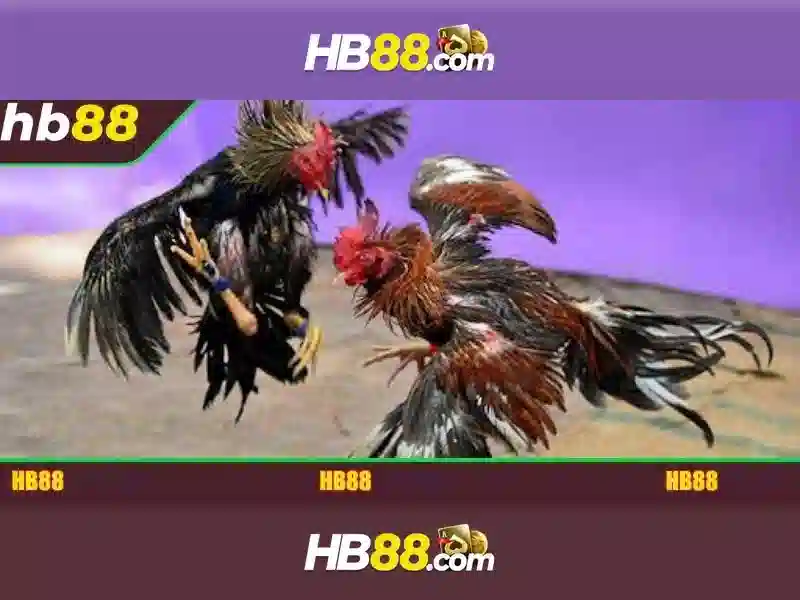 hb88: Đánh giá tổng quan và hướng dẫn chơi an toàn