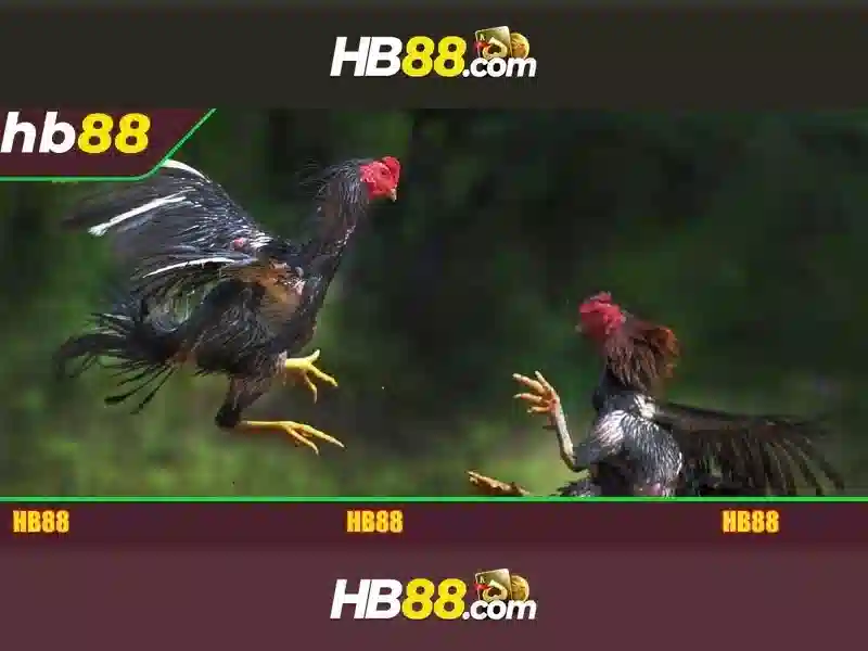 HB88: Nền tảng cá cược trực tuyến an toàn và tiềm năng