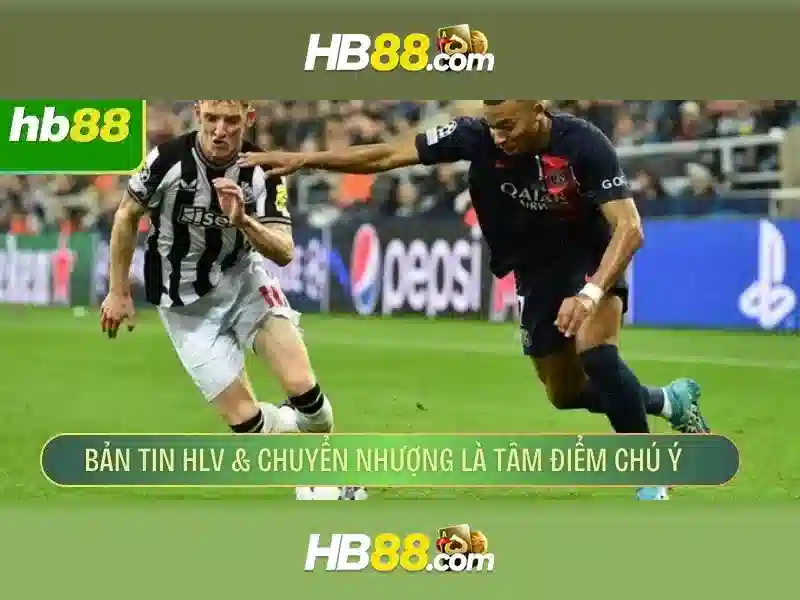 Tóm lại và lời mời trải nghiệm
