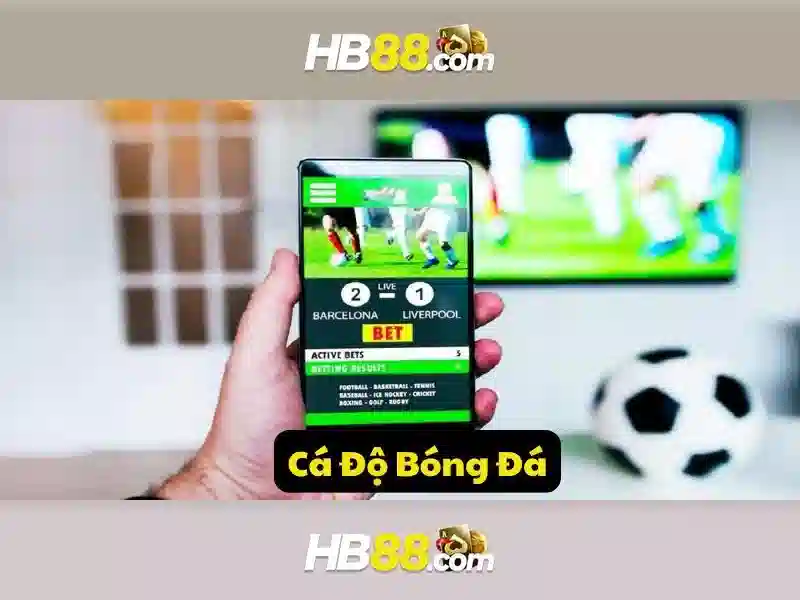 Các dịch vụ và sản phẩm của HB88