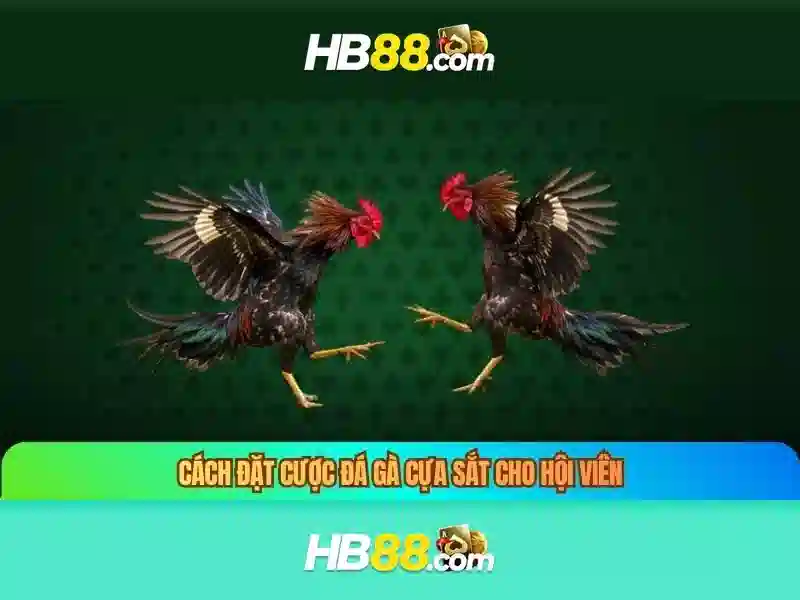 Sòng casino và trò chơi phổ biến