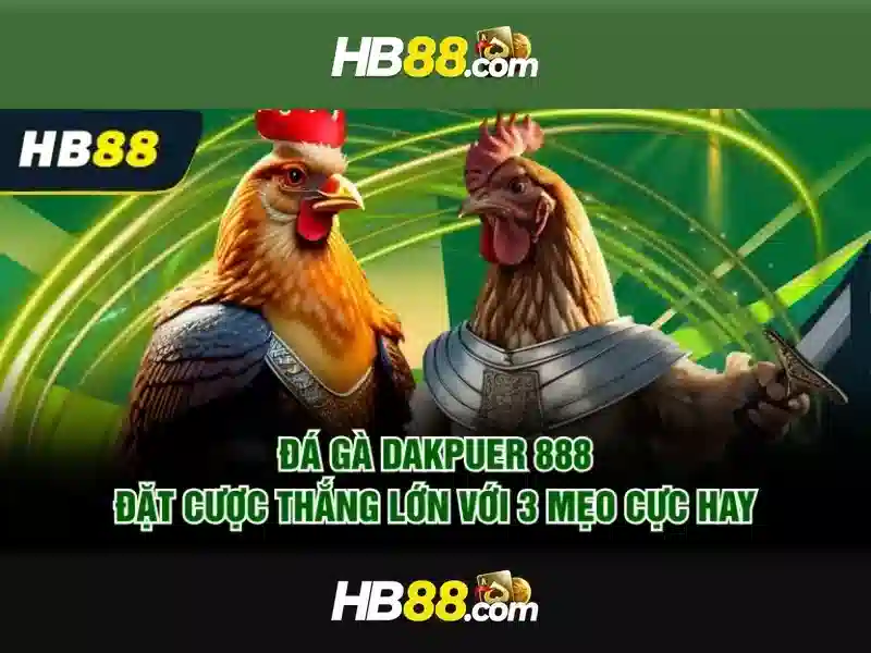 HB88 là gì và trải nghiệm casino trực tuyến