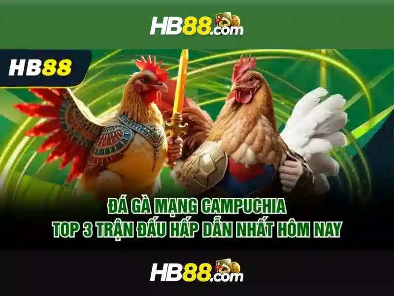 hb88: Nền tảng cá cược trực tuyến và những điều bạn cần biết