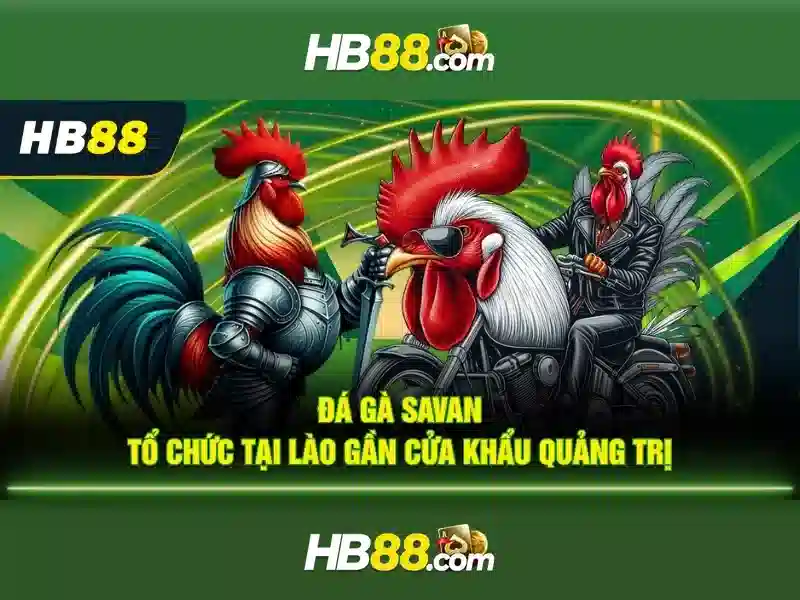 hb88: Tong quat ve mot nen tang ca cuoc truc tuyen
