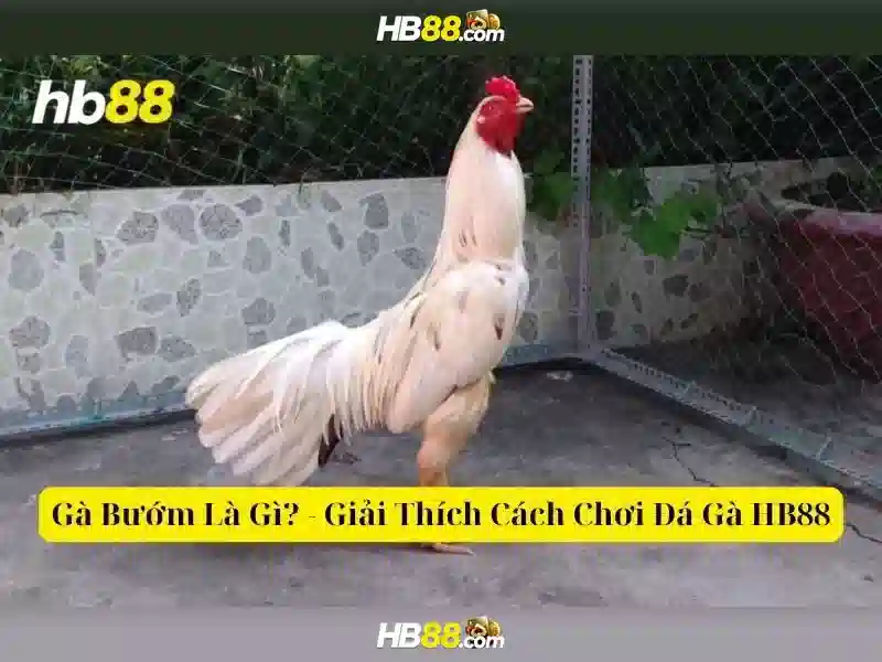 hb88: Nền tảng giải trí trực tuyến - Tổng quan và trải nghiệm