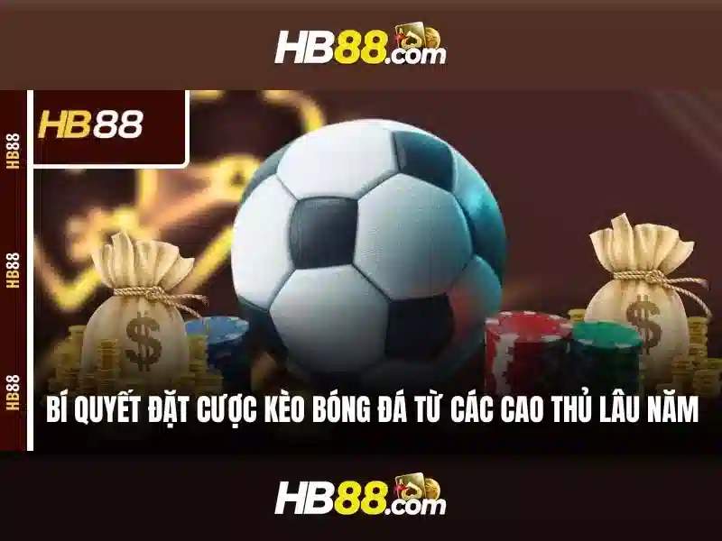 HB88 - Tổng quan về nền tảng cá cược trực tuyến