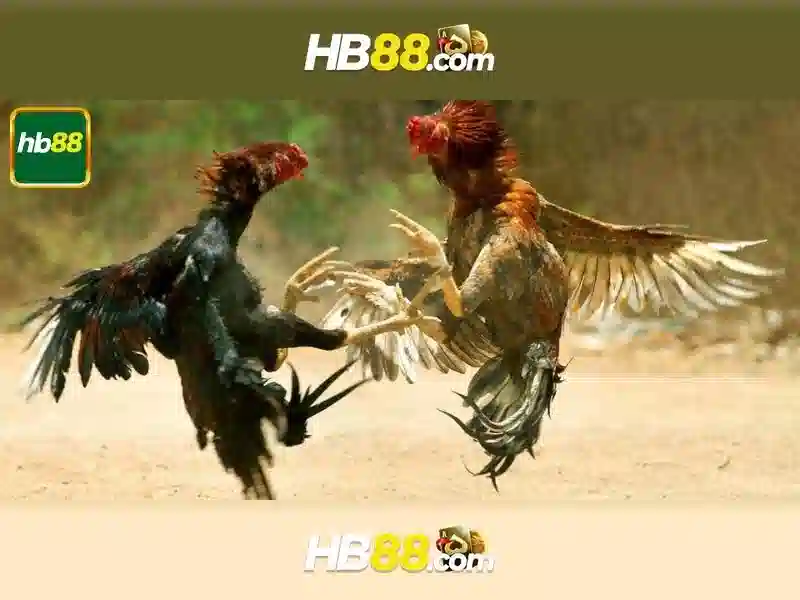 HB88: Đánh giá và tài nguyên cho người chơi