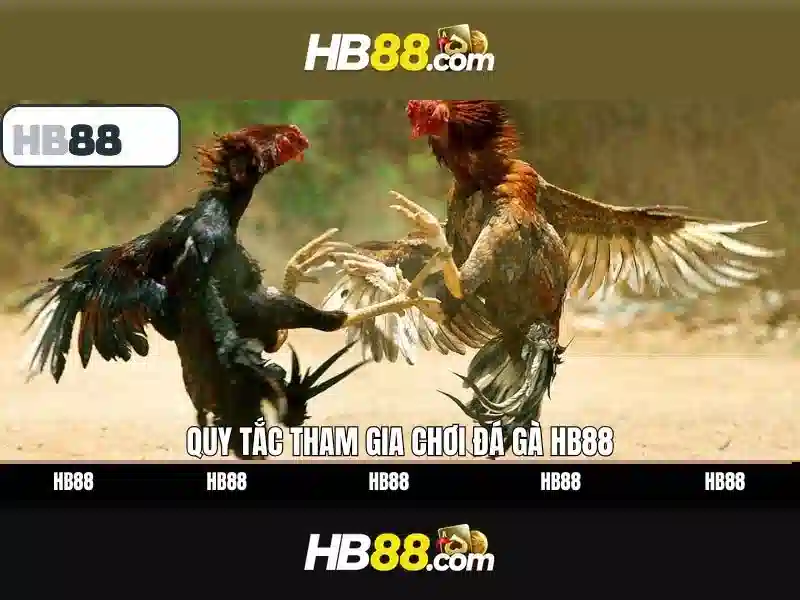 HB88: Tổng quan và những điều cần biết