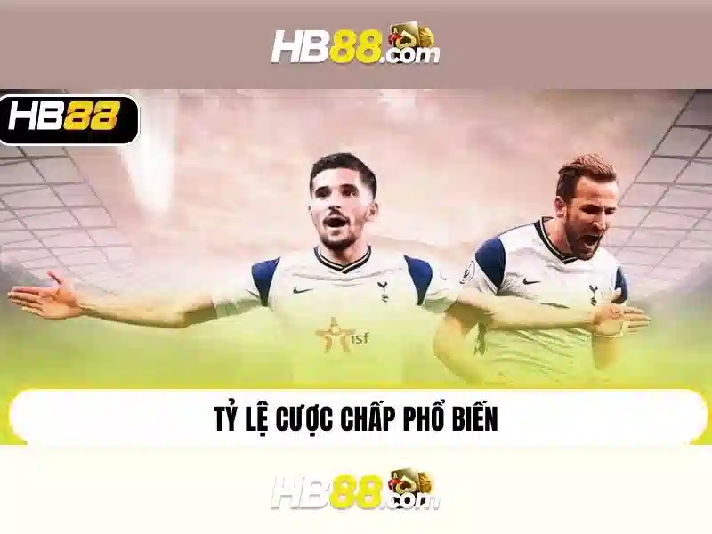 HB88: Nền tảng cược trực tuyến đáng tin cậy và những điểm nổi bật