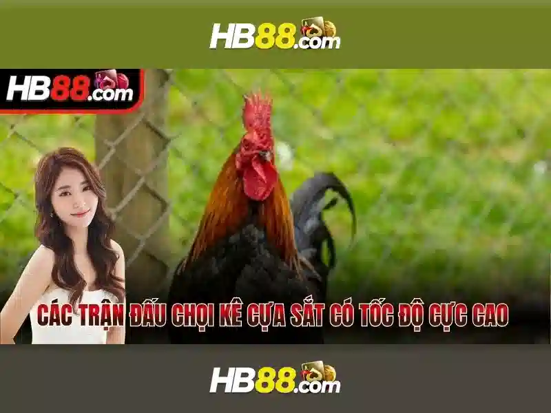 HB88: Tổng quan và đánh giá tổng quan