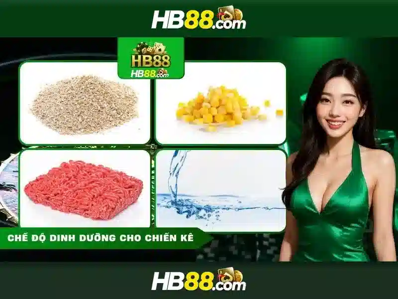 Trò chơi và danh mục