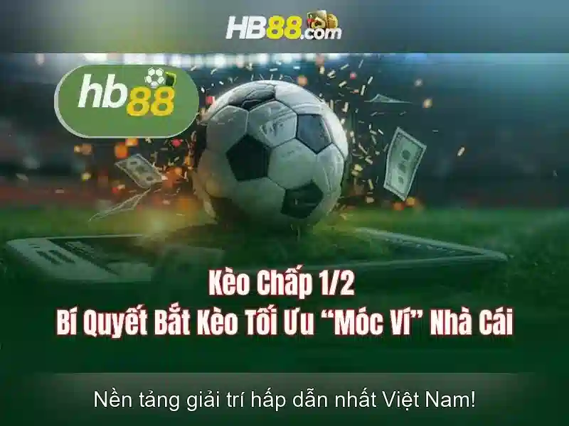 hb88 android – Trải nghiệm đột phá cho người dùng hiện đại