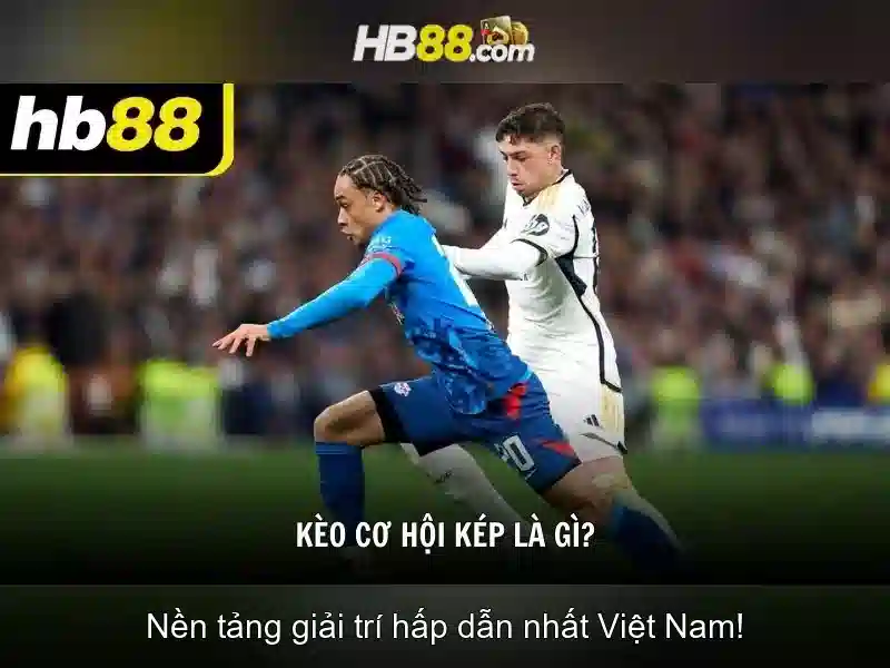 HB88 la gi va cach tan dung trai nghiem ca cuoc an toan