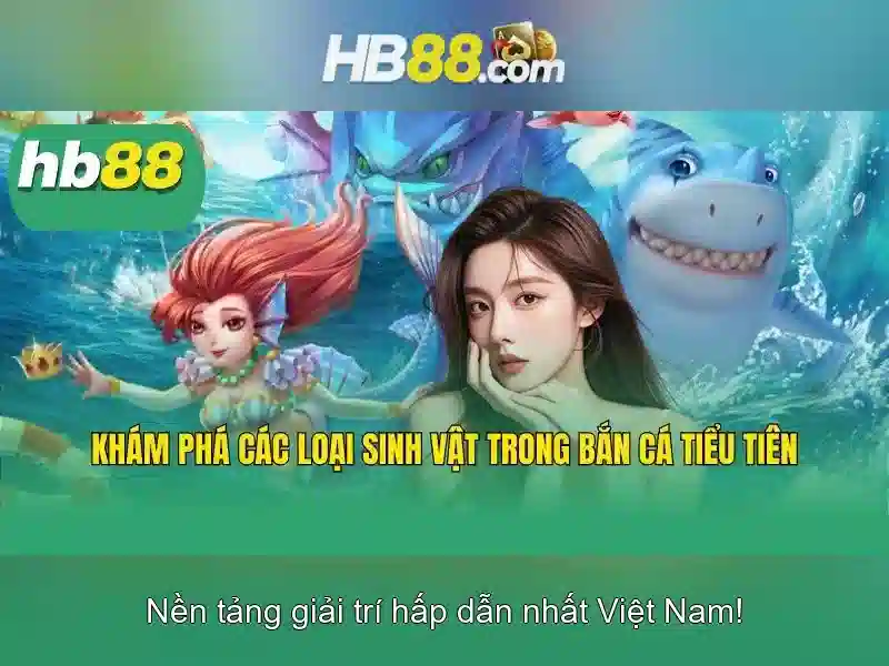 Khuyến mãi và thanh toán