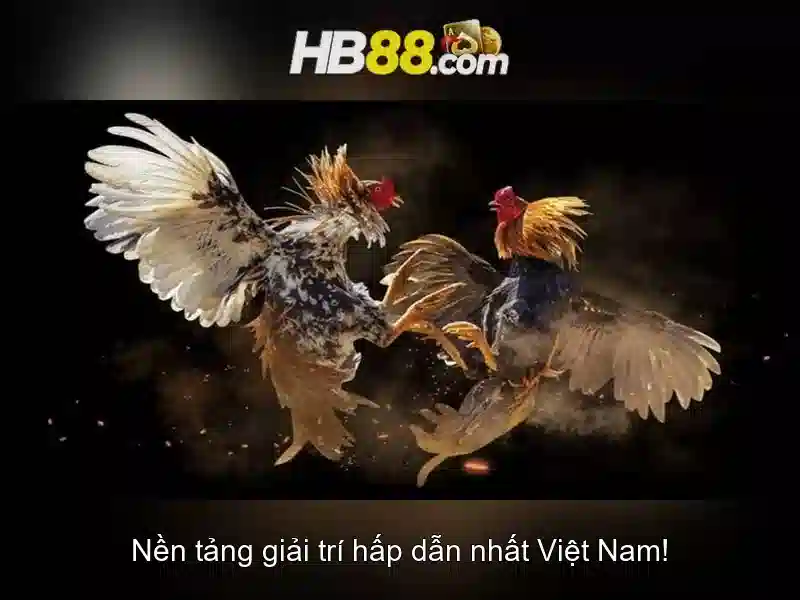 hb88 – Tổng quan về nền tảng cá cược và giải trí trực tuyến