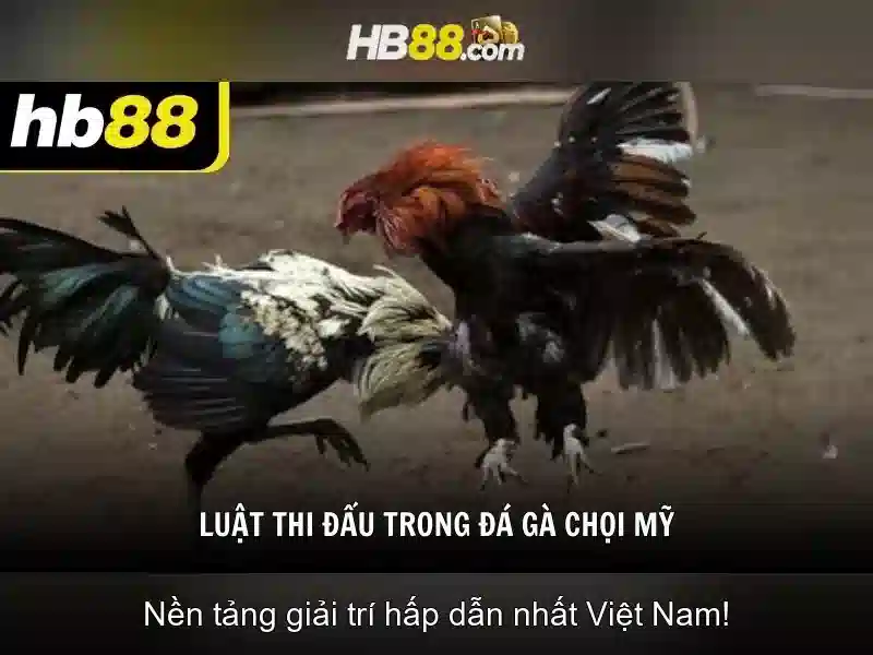 HB88 là gì?
