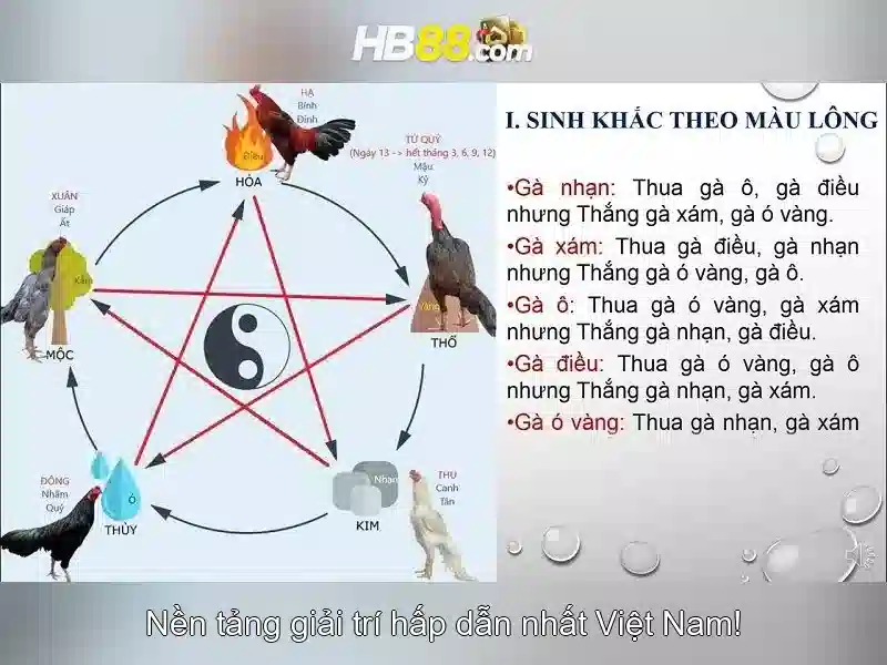nhận thưởng hb88 – câu chuyện thương hiệu và trải nghiệm