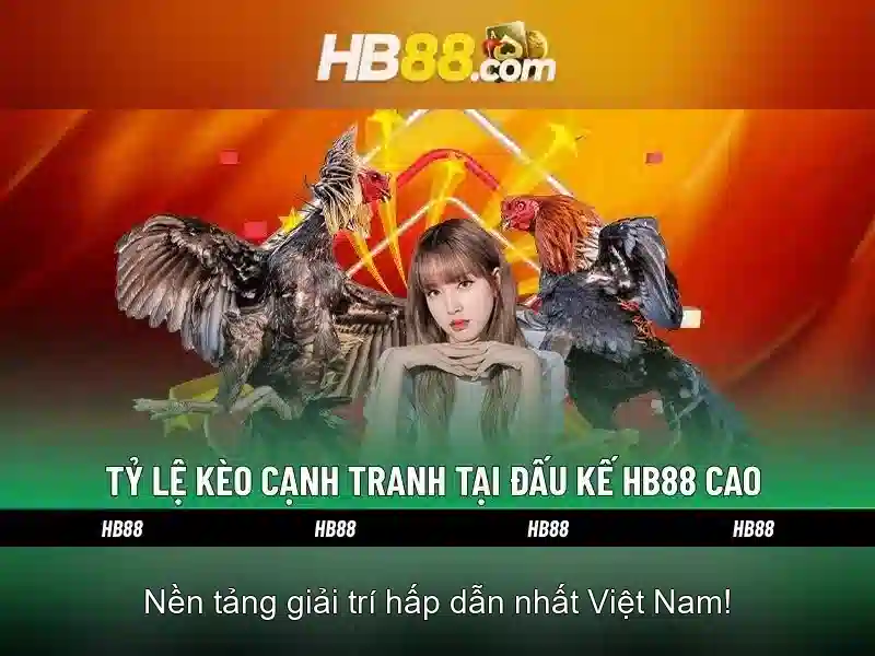 Các tính năng nổi bật