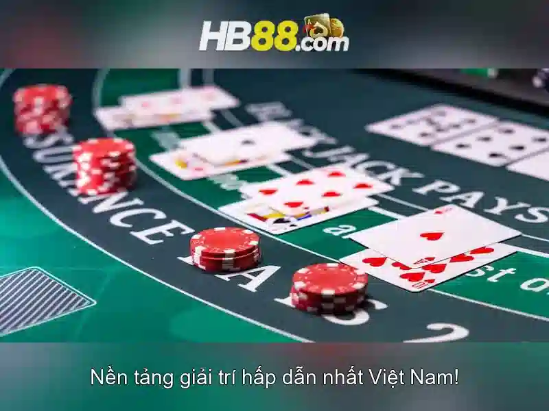 An toàn và khuyến nghị khi tham gia