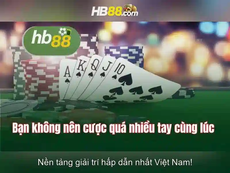 Trải nghiệm người dùng và phản hồi cộng đồng