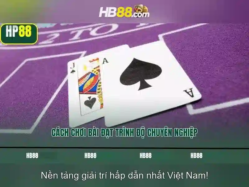 Trải nghiệm người dùng và phản hồi cộng đồng