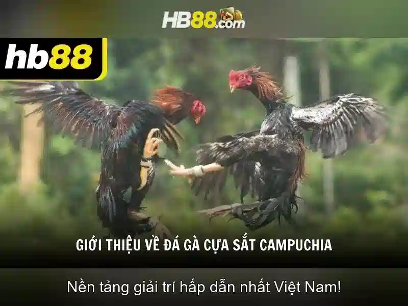 hb88: Giới thiệu về nền tảng cá cược và casino trực tuyến