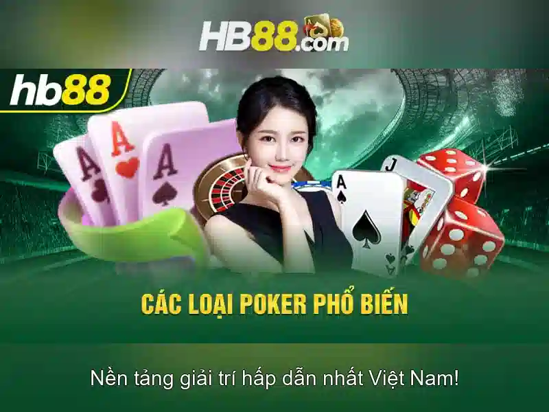 HB88 là gì?