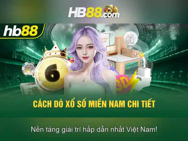 Trải nghiệm người dùng và phản hồi cộng đồng
