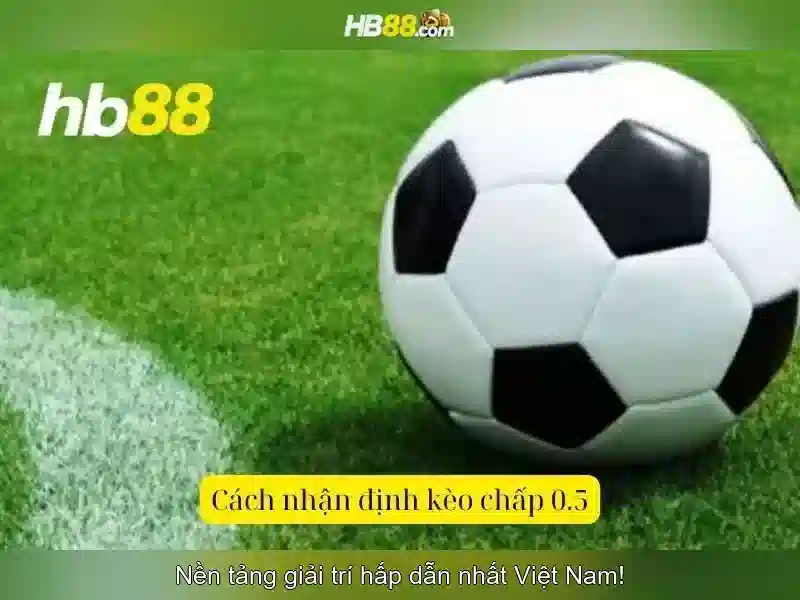HB88: Nền tảng cá cược trực tuyến