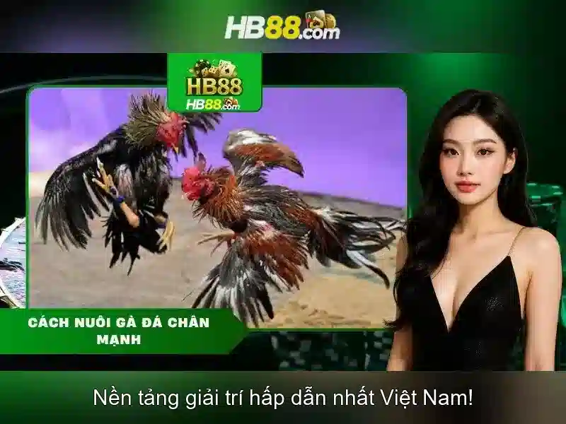 Giao diện và trải nghiệm người dùng