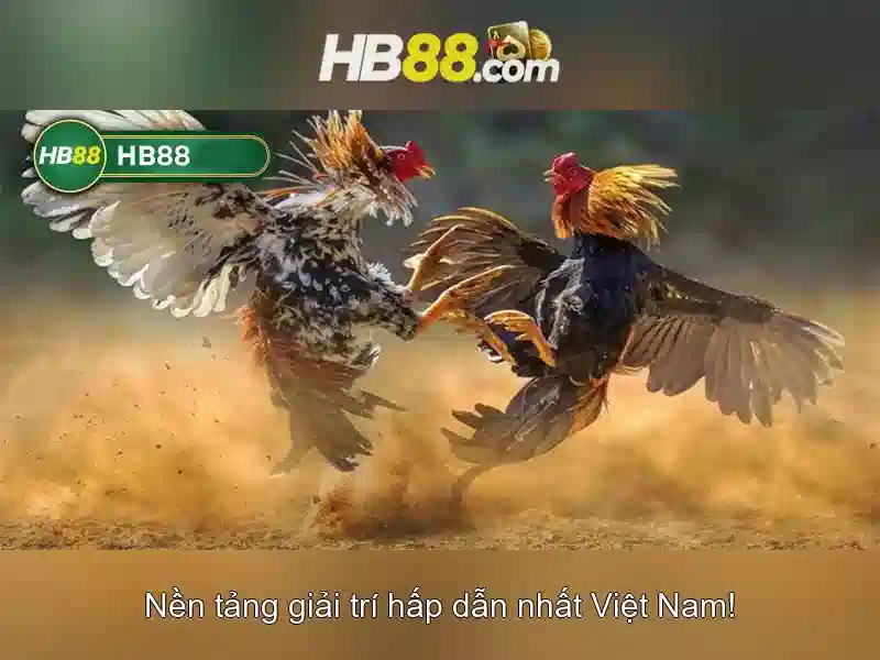 Lịch sử và nguồn gốc