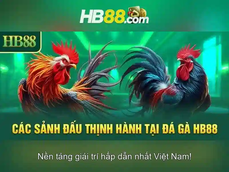 hb88 là gì?