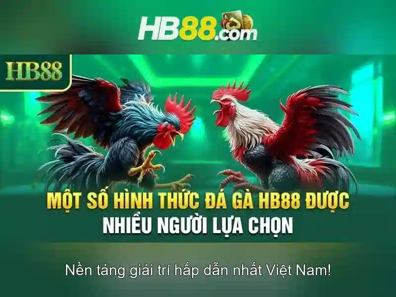 hb88: Nền tảng cá cược trực tuyến tiên tiến và an toàn