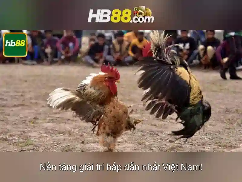 hb88 tặng – chủ đề tổng quan và giá trị cốt lõi