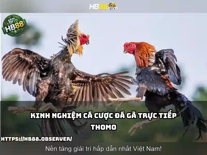 Các sản phẩm và dịch vụ của Hb88