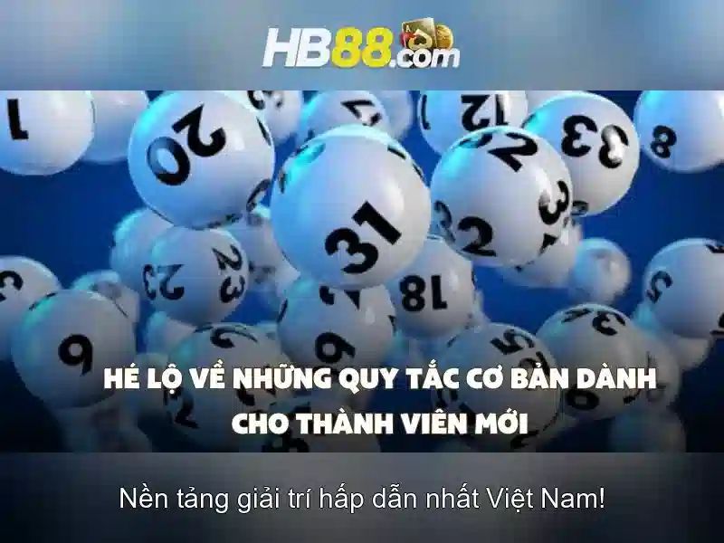 Cung cấp dịch vụ và trò chơi