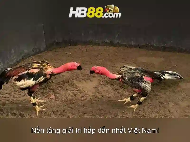Độ tin cậy và giấy phép